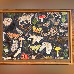 Nature-Themed Puzzle with Animals and Insects